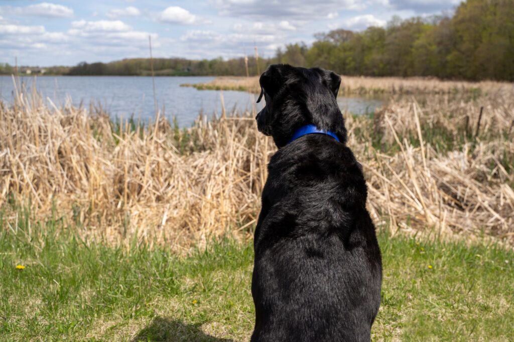 Elm Creek Park Reserve