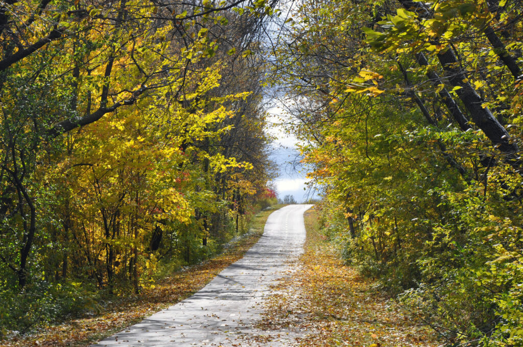 Elm Creek Park Reserve