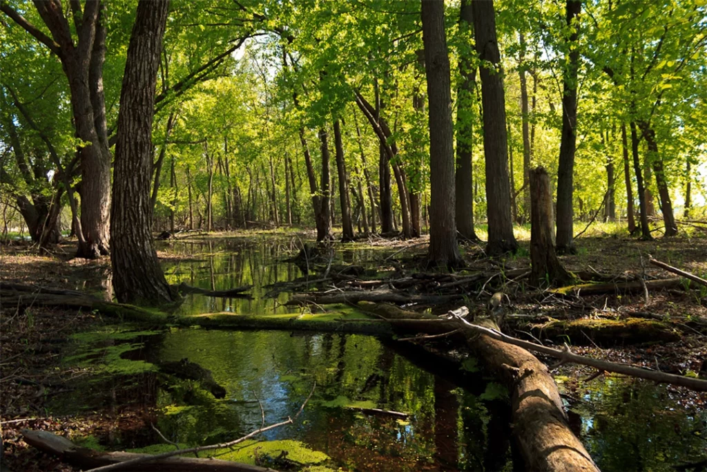  Elm Creek Park Reserve